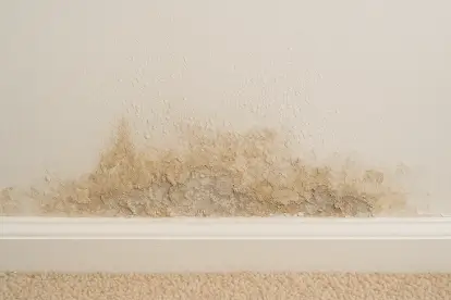 Peeling paint and damaged plaster work near the skirting board due to rising damp